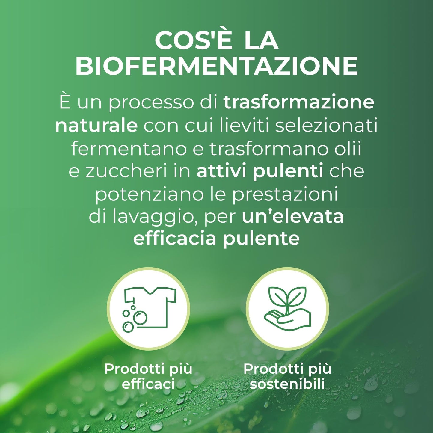 Winni’s - Detersivo Lavatrice Ipoallergenico Ecoformato, 132 Lavaggi, Aleppo e Verbena, con Smacchianti Naturali da Biofermentazione e Materie Prime di Origine Vegetale, 1485mlx4 Confezioni