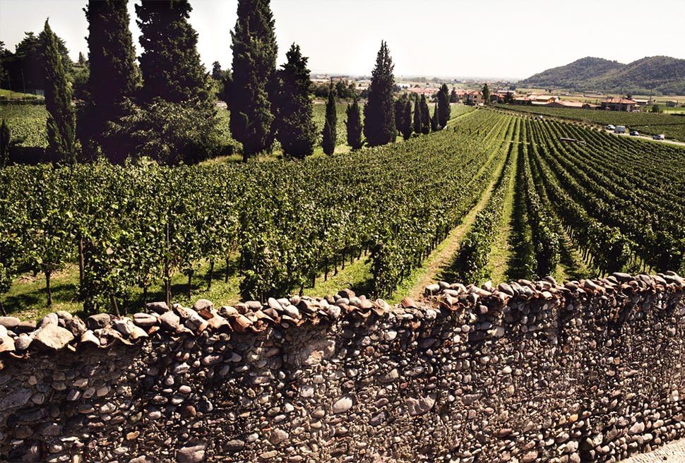 Bellavista Alma Assemblage Extra Brut – Franciacorta DOCG - 750 ml