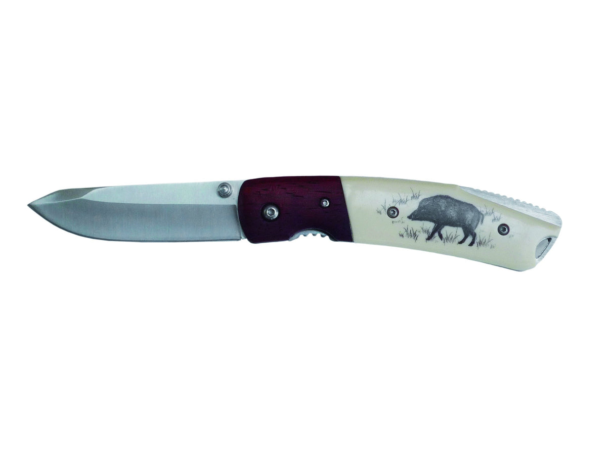 AUSONIA - Coltello da tasca manico in legno e plastica con lama in acciaio inox Cm 19