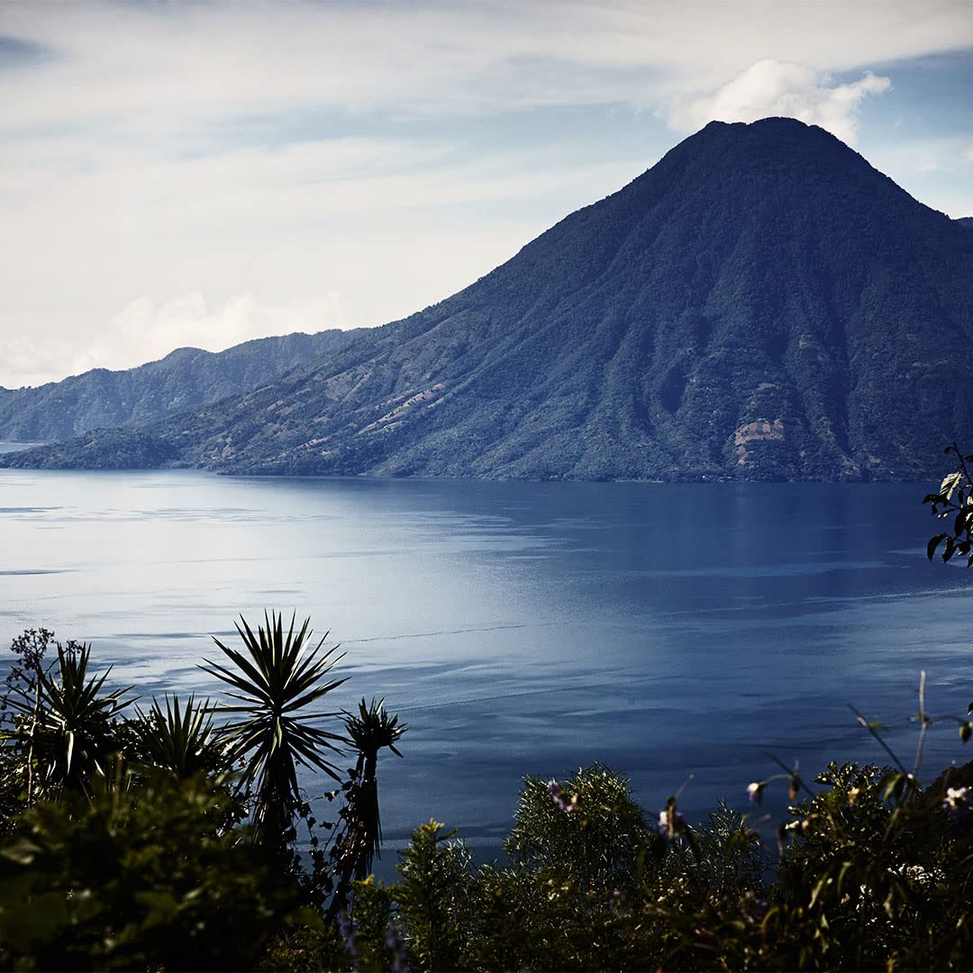 Zacapa Edicion Negra Rum - 700 ml