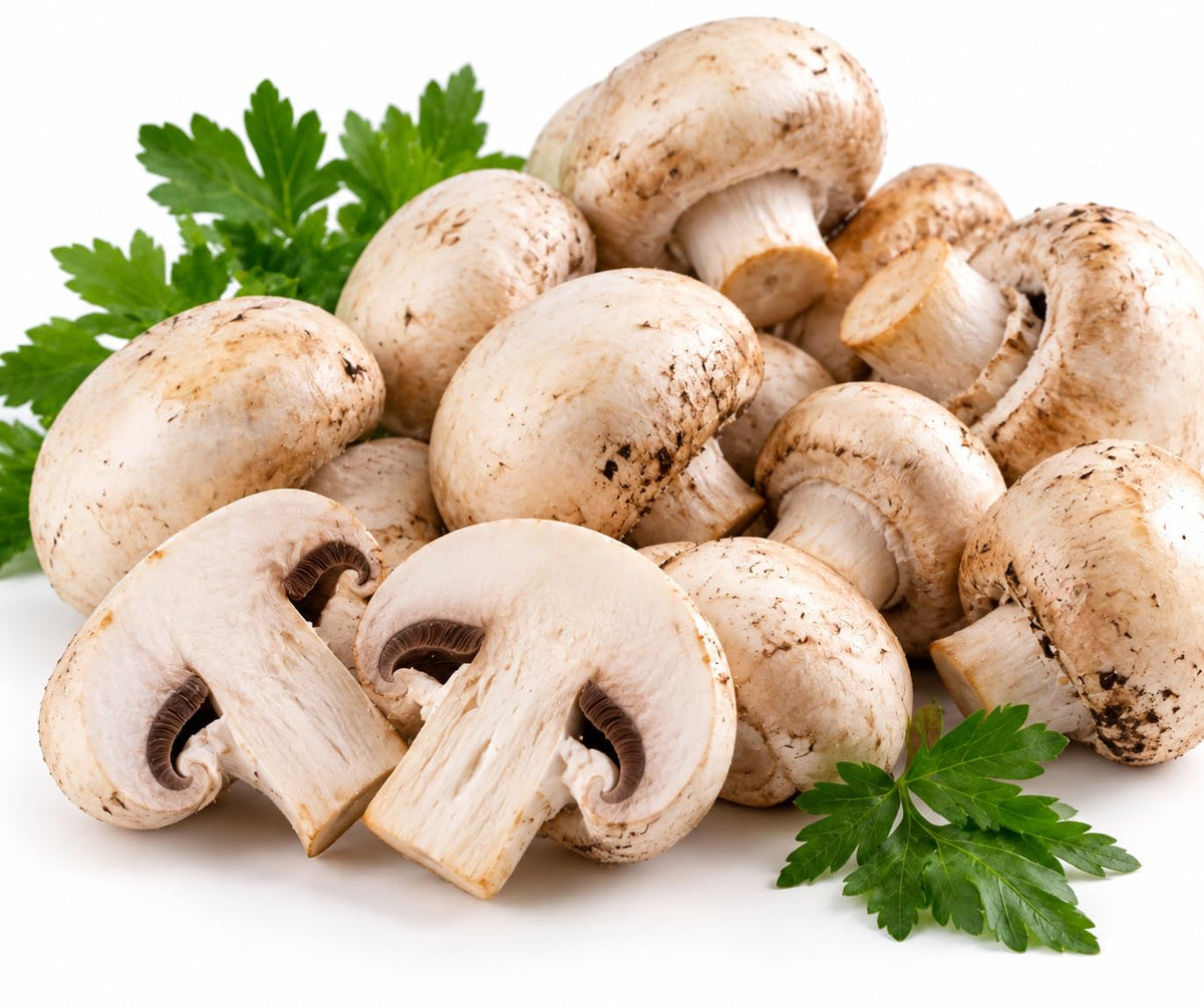 CG94 Funghi Champignon Freschi Prataioli Selezionati 3 kg