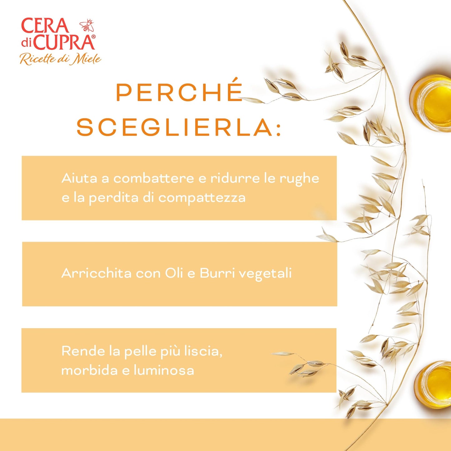 Cera di Cupra, Crema Anti Età Riparatrice, Formula Avanzata che Aiuta a Combattere e Ridurre le Rughe e la Perdita di Compattezza, Made in Italy, Dermatologicamente Testata, 50 ml