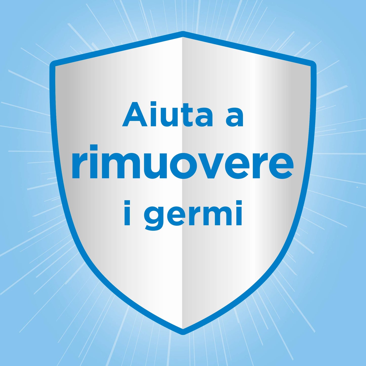 Ajax Detergente Pino Gel con Candeggina, Igienizzante e Ultrasgrassante, Elimina gli Odori, 12 Pezzi da 1 L