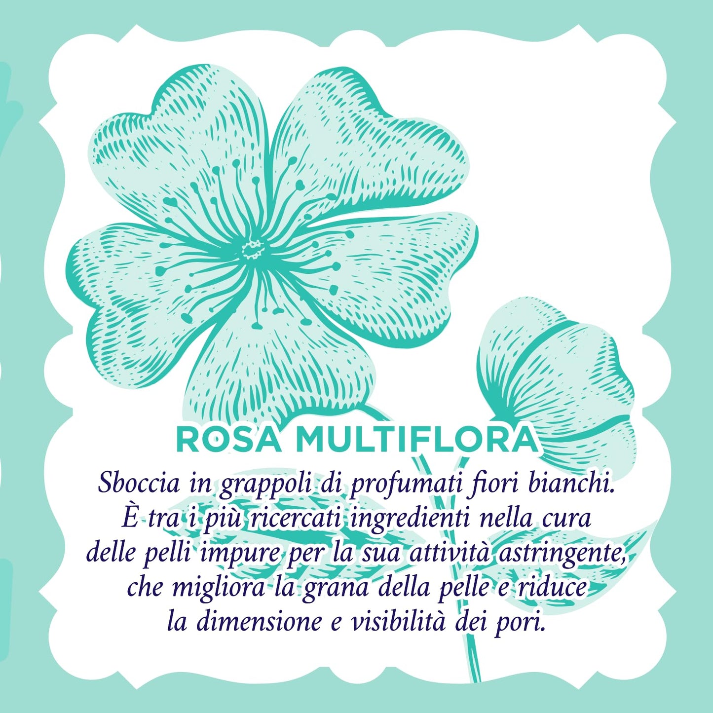 Acqua alle Rose, Cerottini Anti-Imperfezioni Purificanti con Attivi Astringenti di Rosa Multiflora e Acido Glicolico, Anti Punti Neri, Opacizzano e Purificano, Zona T - 4pz Naso, 4pz Fronte e Mento