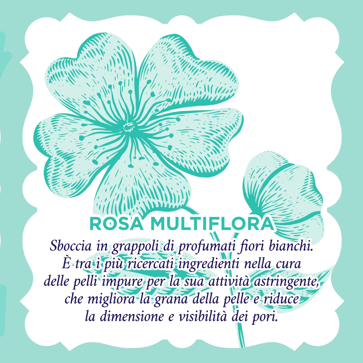 Acqua alle Rose, Maschera Viso in Tessuto Purificante con Attivi Astringenti di Rosa Multiflora e Acido Glicolico, Azione Opacizzante Anti-Imperfezioni, Riduce la Dimensione e Aspetto dei Pori 1PZ