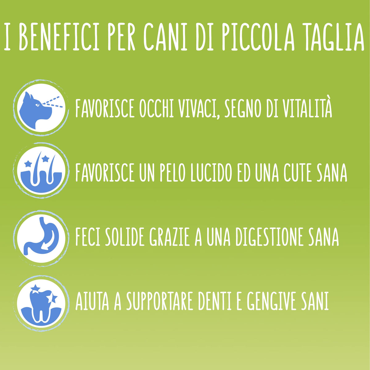 PURINA FRISKIES 5 Promesse Junior Crocchette per Cani Cuccioli con Pollo e Verdure 6 Sacchi da 1.5kg