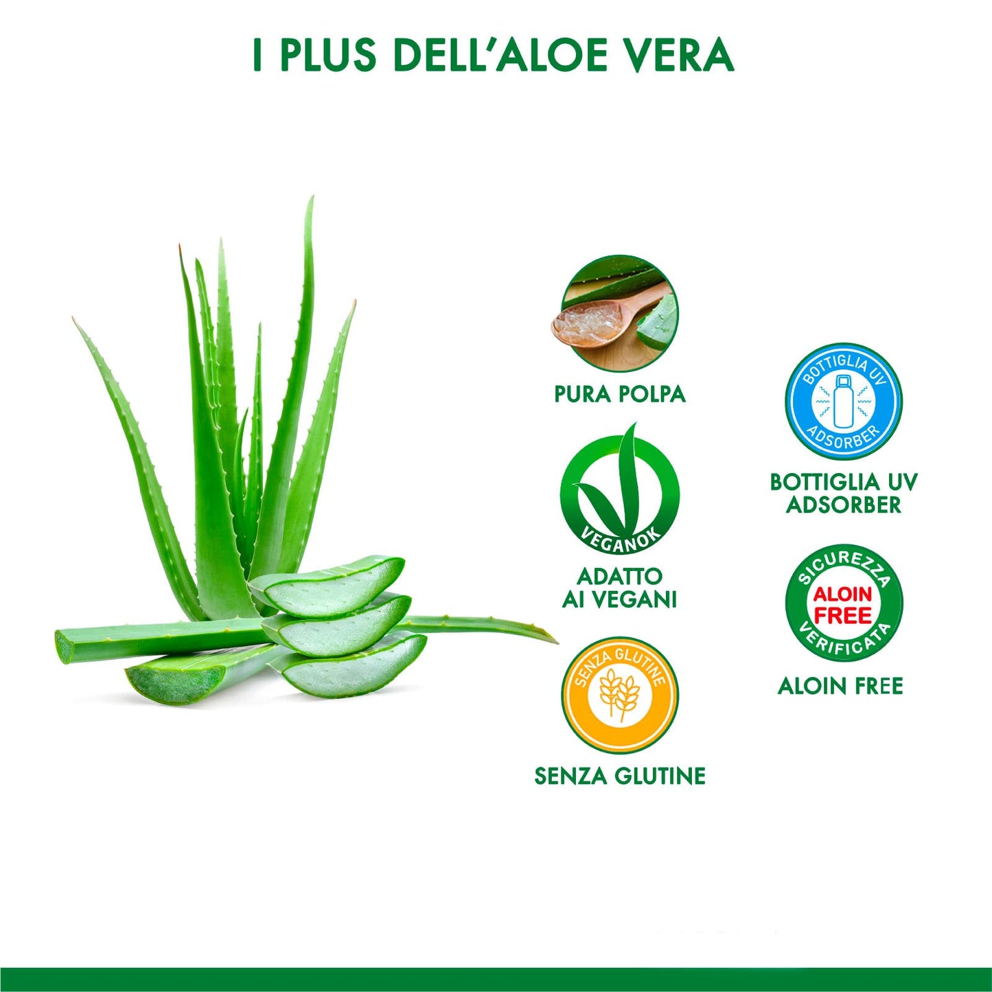 6x Equilibra Integratore per la Depurazione Aloe Vera Extra 99,5% con Pura Polpa e Proprietà Benefiche - 6 Flaconi da 1000ml