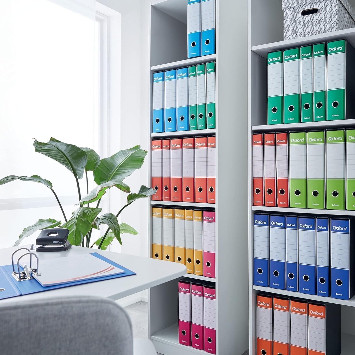 ESSELTE - Registratore Oxford G85 Fucsia Dorso 8 cm F.To Protocollo (Rif.Cod. 390785900)