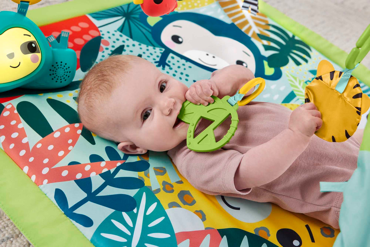 Fisher Price Palestrina