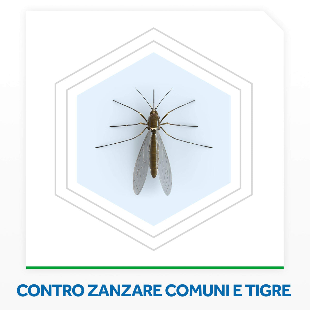 Raid Liquido Elettrico Ricarica, Antizanzare Comuni e Tigre, Inodore, 1 Confezione Da 1 Ricarica da 36ml, 60 Notti