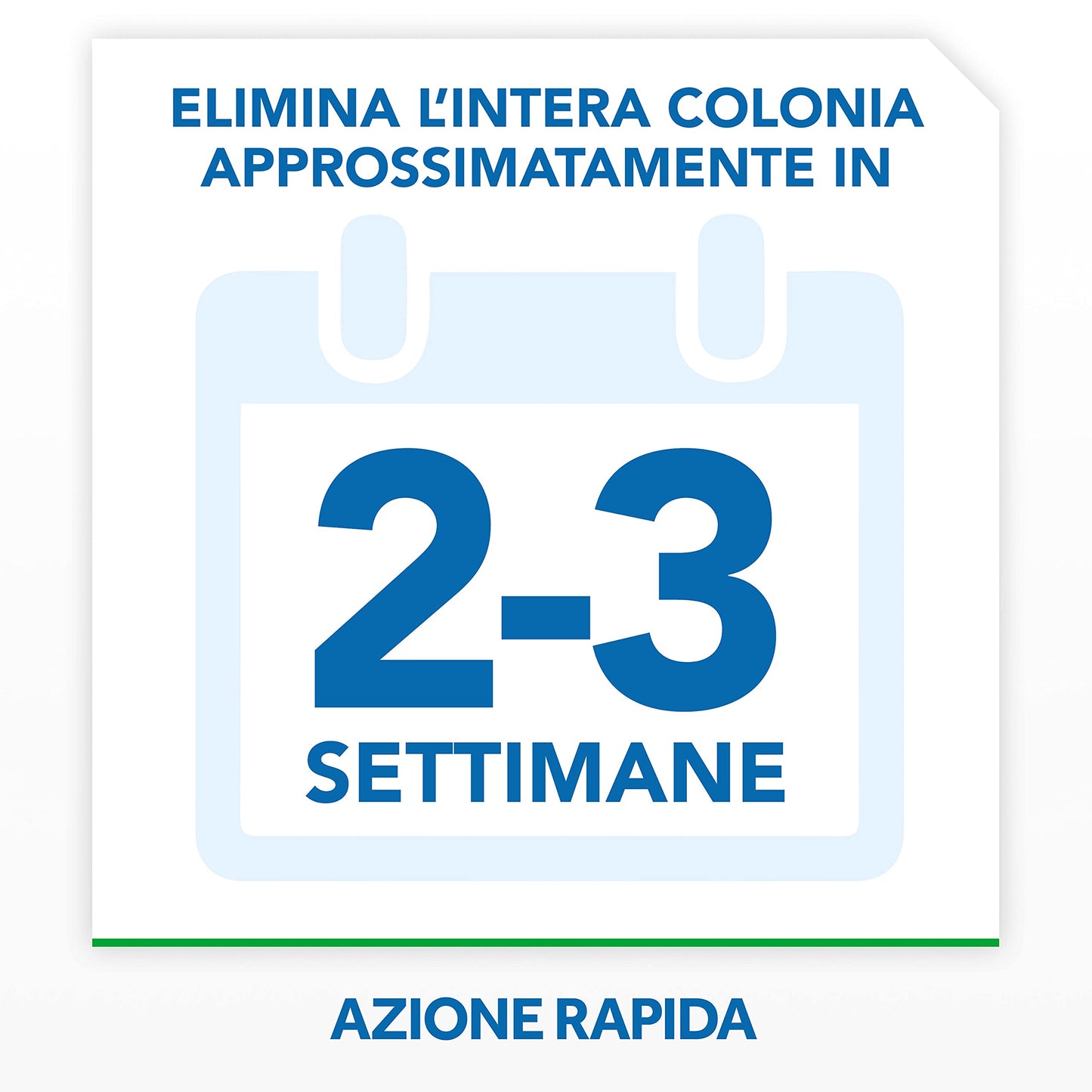 Baygon Trappola Adesiva, Efficacie contro Scarafaggi e Pesciolini d'Argento, Protezione per la Cucina, 1 Confezione da 62.5 g