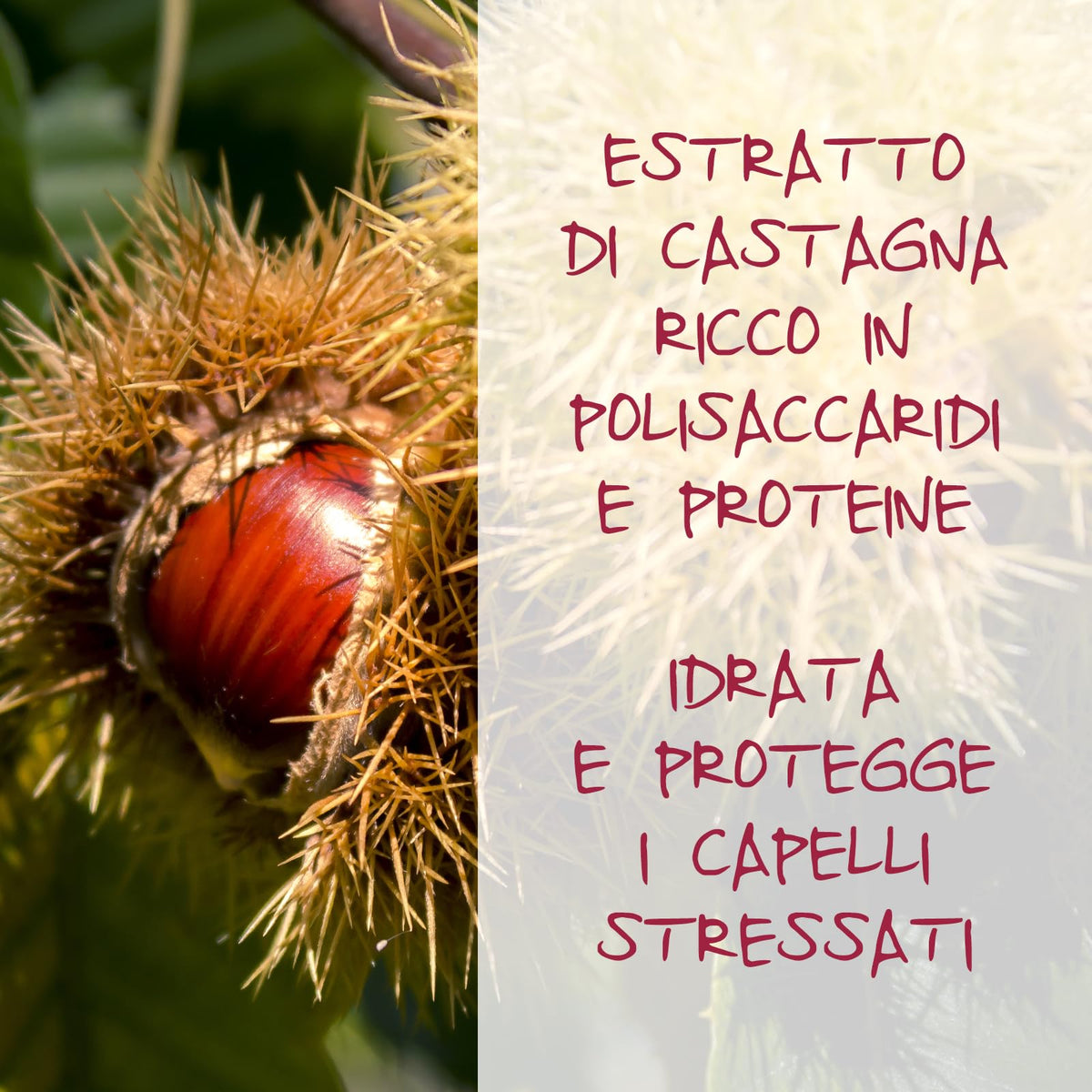 Omia, Fisio Shampoo Protettivo Castagna tosco-emiliana, Capelli stressati