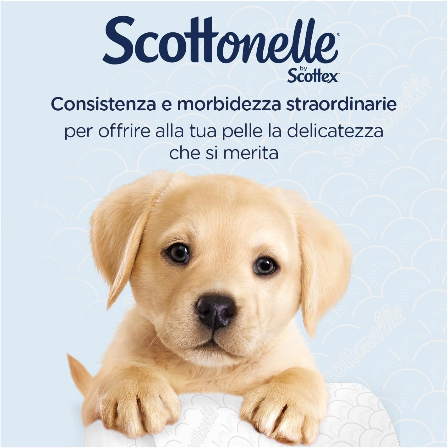 Scottonelle Carta Igienica Soffice e Trapuntata, Confezione da 12 Rotoli