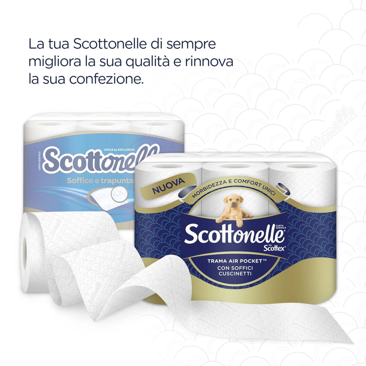 Scottonelle Carta Igienica, Morbida e Resistente, Dermatologicamente testata, Con Carta Certificata FSC, 24 Rotoli