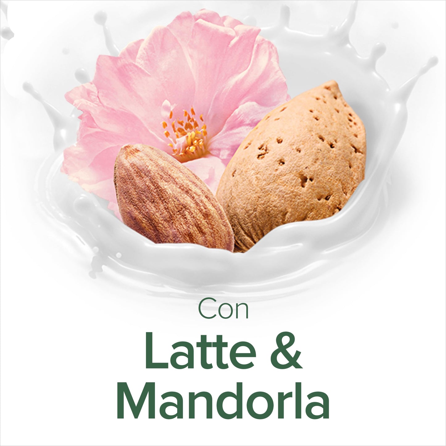 Palmolive Ricarica Sapone Liquido Mani Latte e Mandorla 500 ml x 12 I Formula Delicata I Eco Ricarica I Contribuisce a ridurre la quantità di rifiuti plastici I Vegano I Dermatologicamente testato