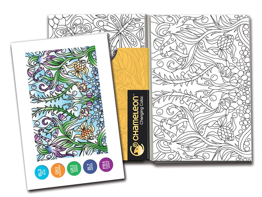 Camaleonte Colore Carte Arte Forniture - Immagini Specchio