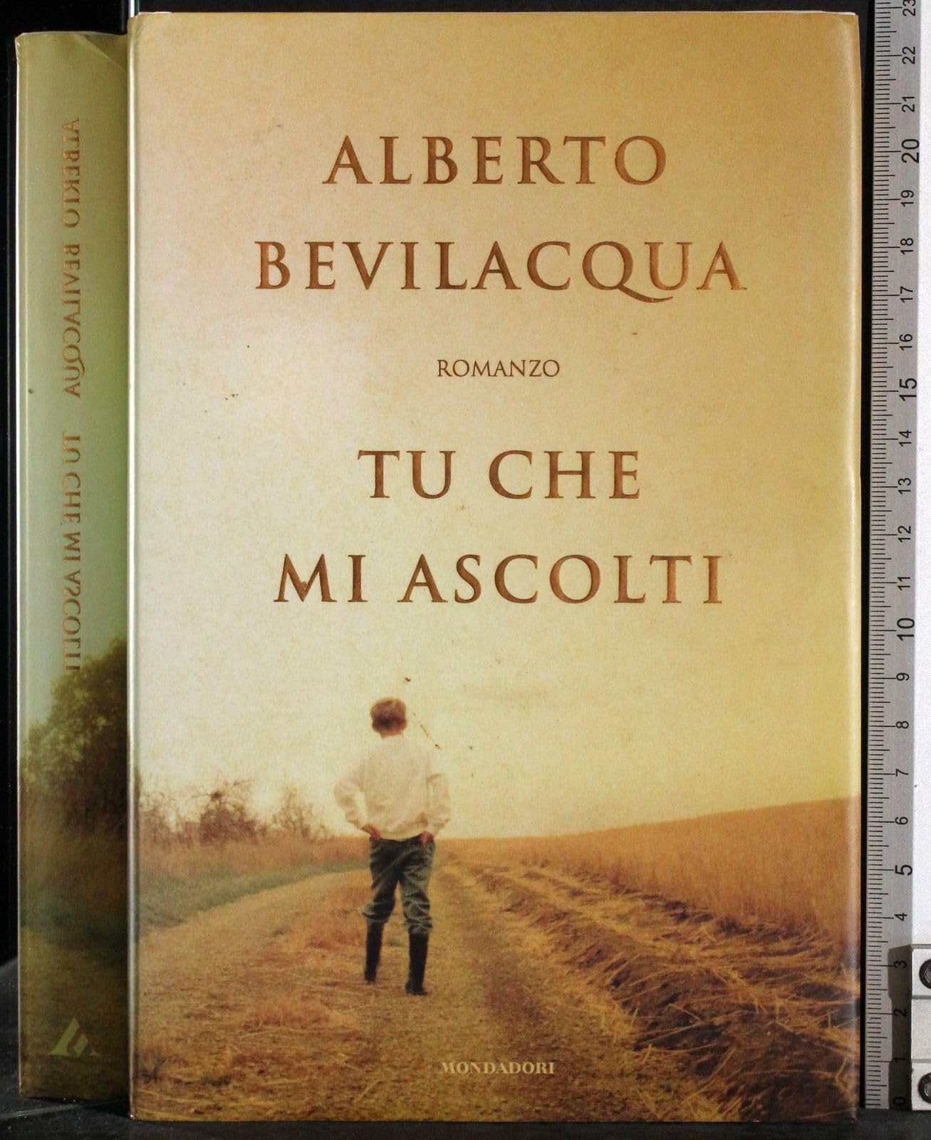 Tu che mi ascolti
