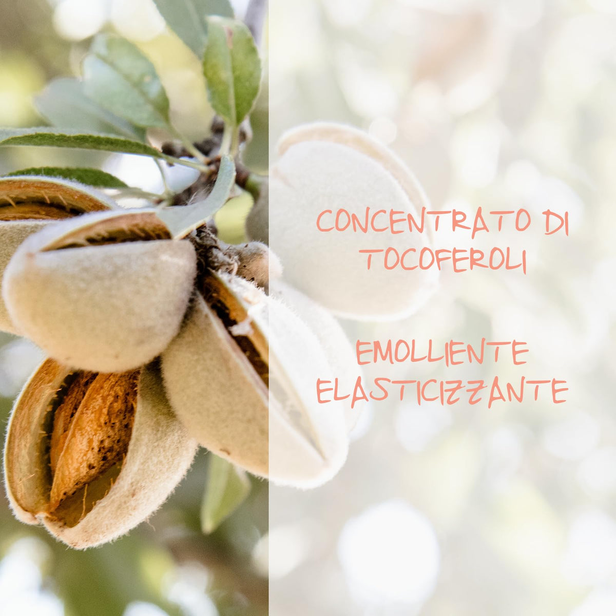 Omia, Maschera Capelli Eco Bio con Mandorla di Sicilia per Capelli e Cute Sensibile, Formula Delicata, Maschera per Lavaggi Frequenti, Senza Siliconi e SLES, Flacone da 250 ml