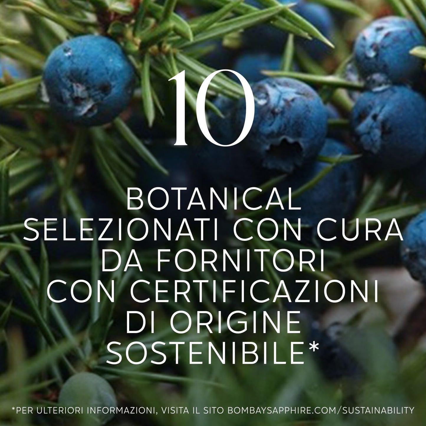 Miniature di Bombay Sapphire London Dry Gin, 40% vol., 5 cl / 50 ml (Confezione da 12), gin 100% infuso a vapore con 10 botanical accuratamente selezionati