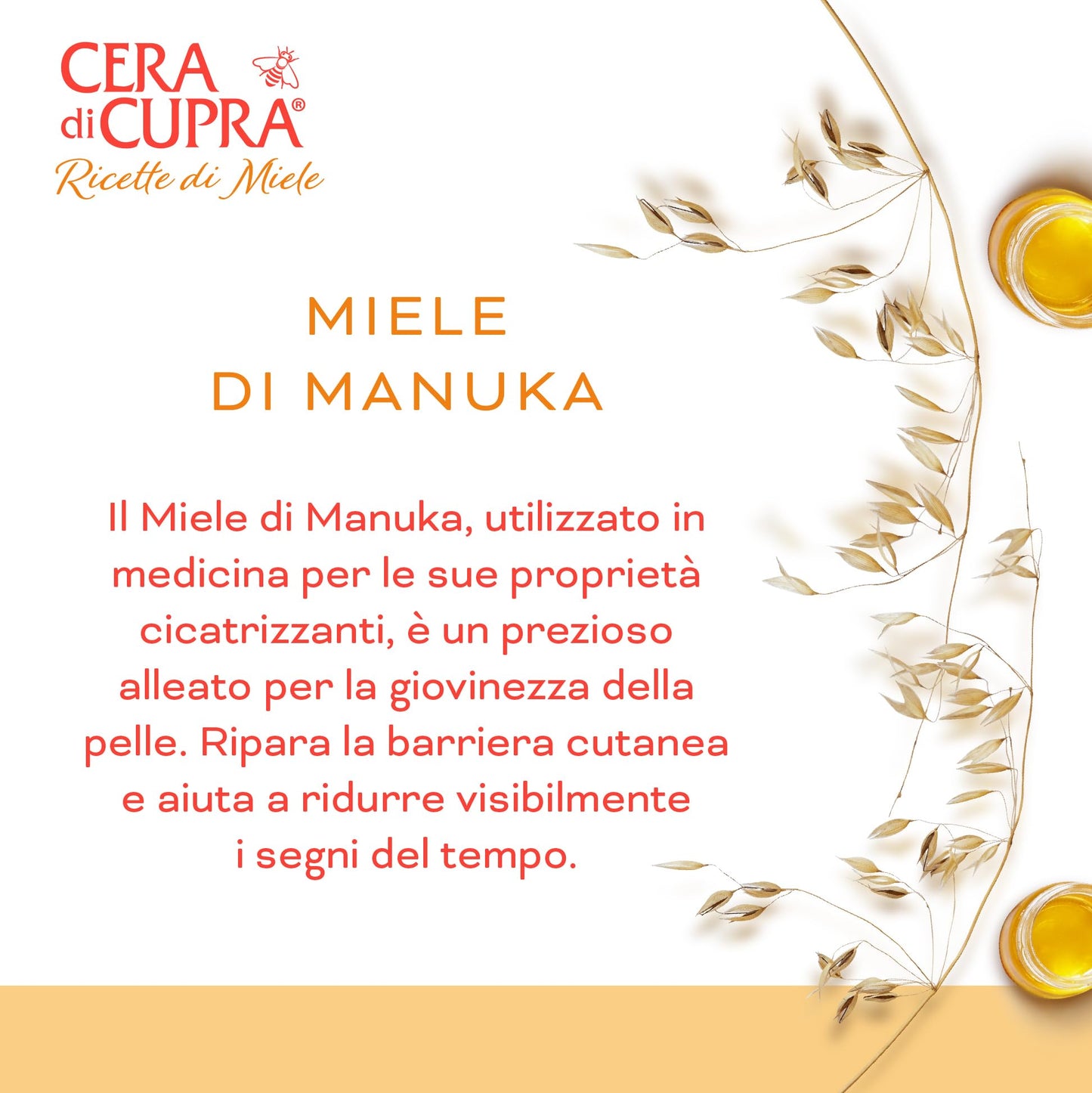 Cera di Cupra, Cica Serum, Siero Miele di Manuka della Nuova Zelanda, Potenzia i Naturali Processi di Autoriparazione della Barriera Cutanea, Made in Italy, Dermatologicamente Testato, 30 ml