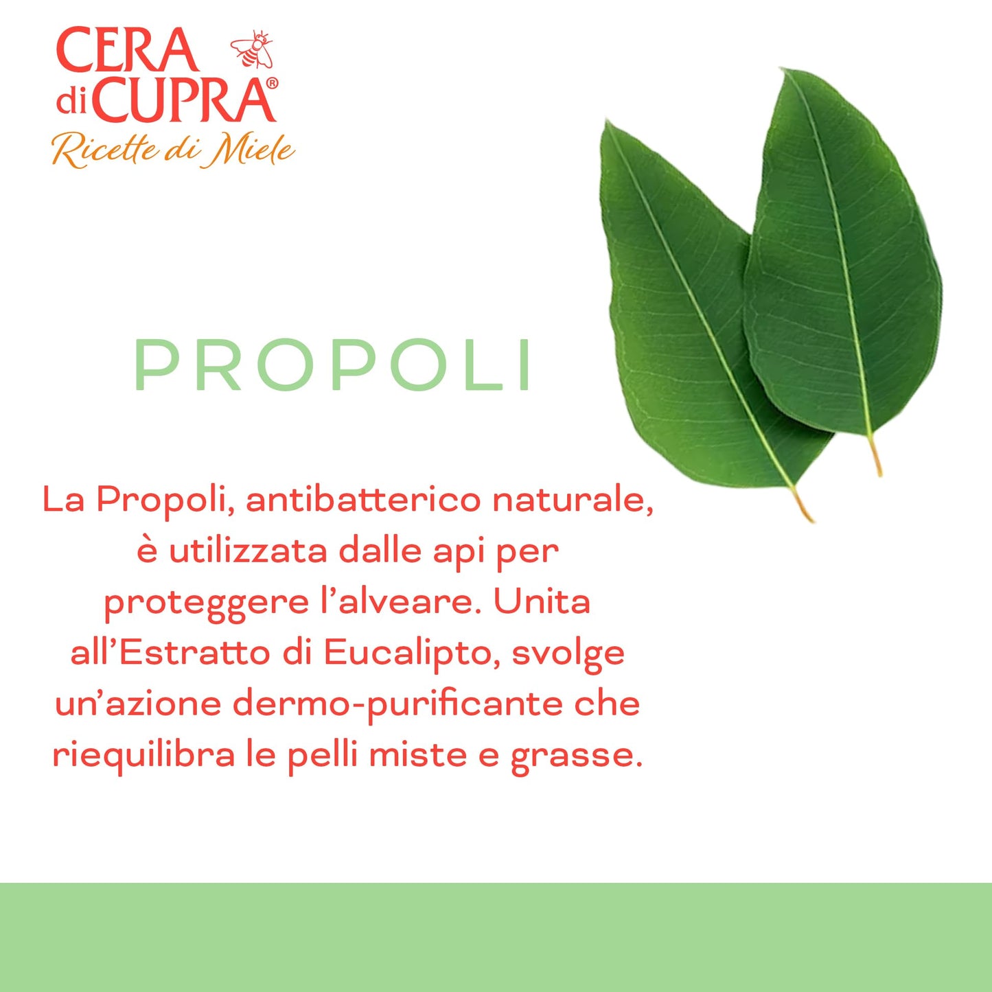 Cera di Cupra, Crema Idratante Opacizzante, Crema Fresca e Leggera, Assicura il Giusto Grado di Idratazione alla Pelle, Made in Italy, Dermatologicamente Testata, Vasetto da 50 ml