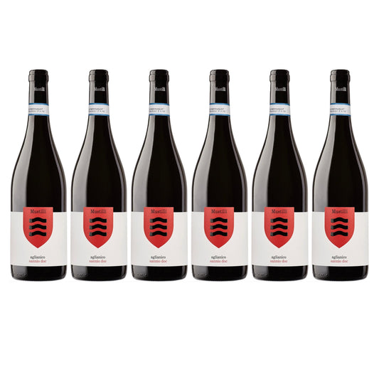 Mustilli | Aglianico del Sannio DOC 2022 | Vino Rosso 12,5% Vol. | Confezione da 6 Bottiglie da 750ml