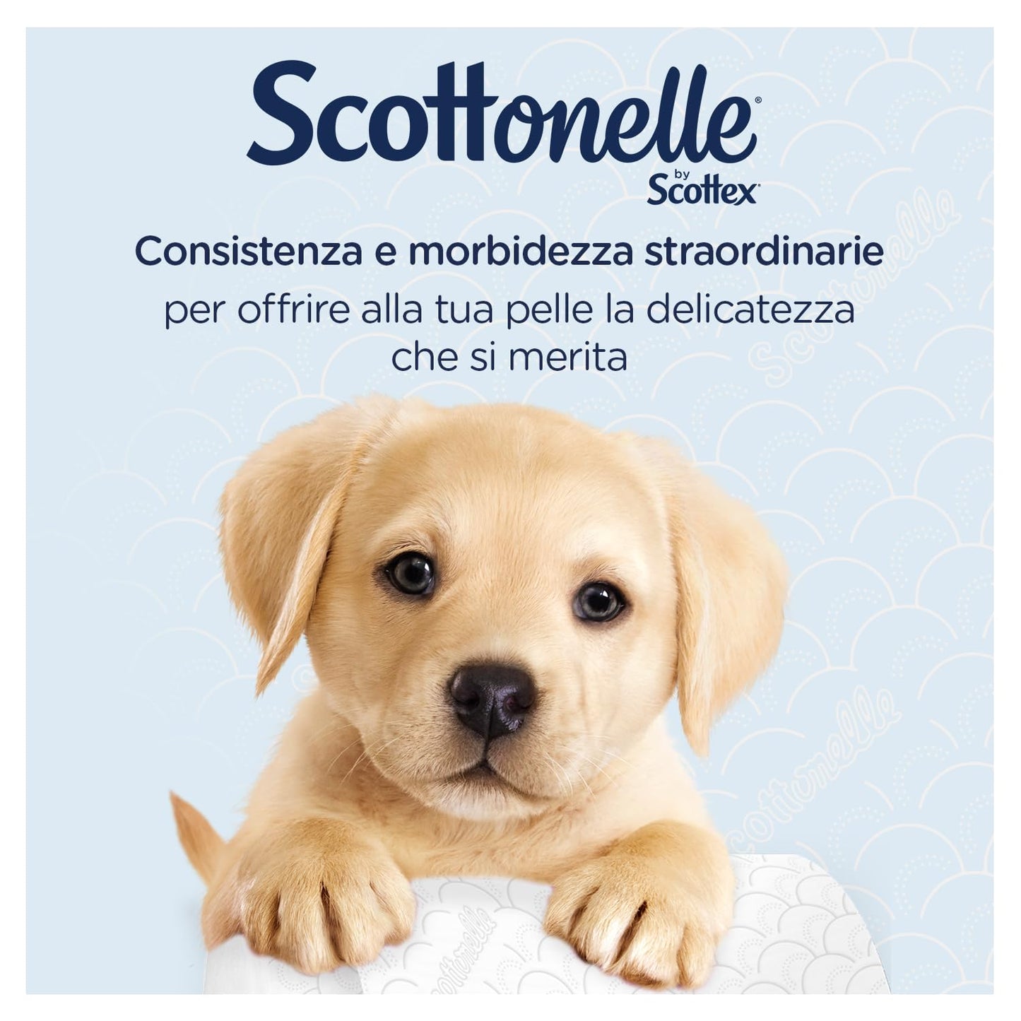 Scottonelle Carta Igienica, Morbida e Resistente, Dermatologicamente testata, 18 Rotoli