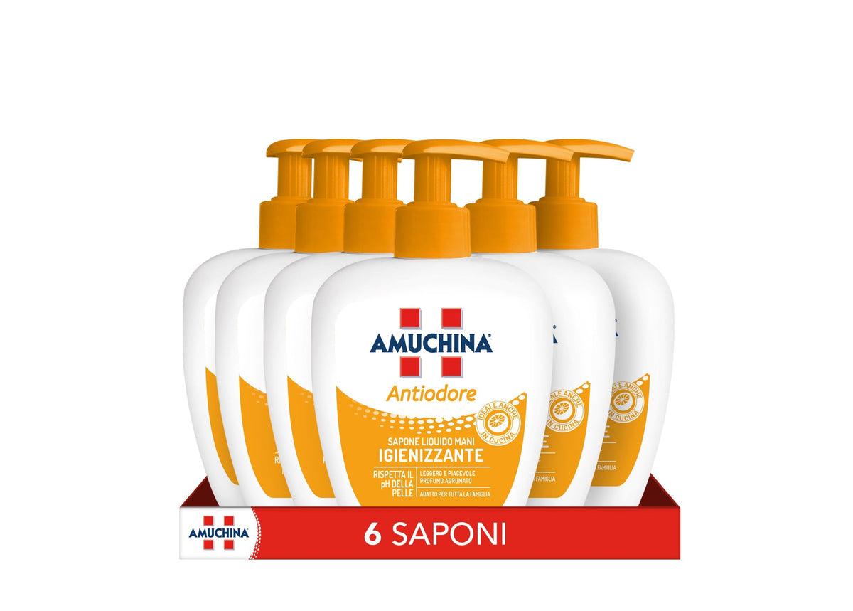Amuchina Sapone Liquido Antiodore 250 Ml 6 Pezzi