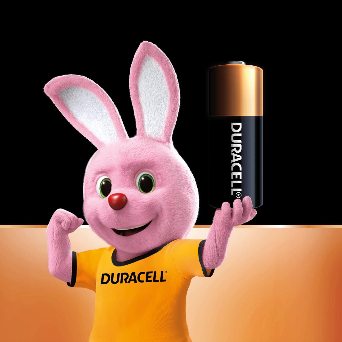 Duracell - Batterie speciali alcaline MN21 da 12 V, confezione da 2 pezzi (A23 / 23A / V23GA / LRV08 / 8LR932) progettate per l'uso in telecomandi, campanelli wireless e sistemi di sicurezza