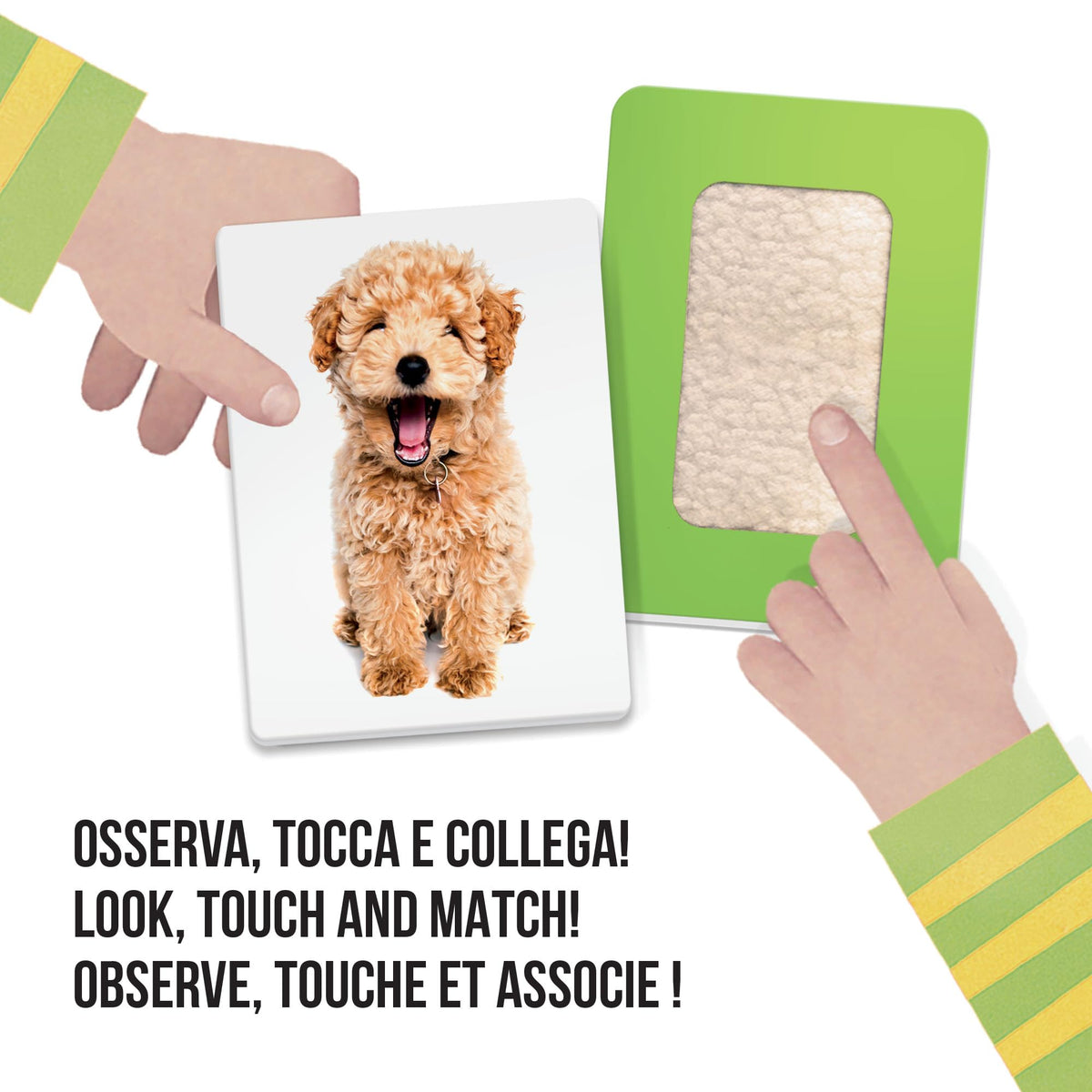Headu Flashcards Tactile Montessori Osserva Tocca E Senti