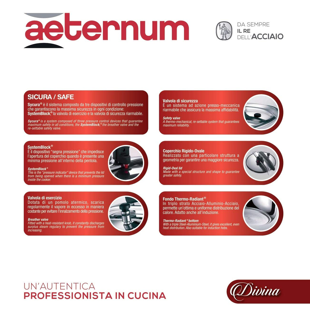 Aeternum Divina, Pentola a Pressione con Valvola di Sicurezza, Acciaio Inox, Adatta all'induzione, Antracite