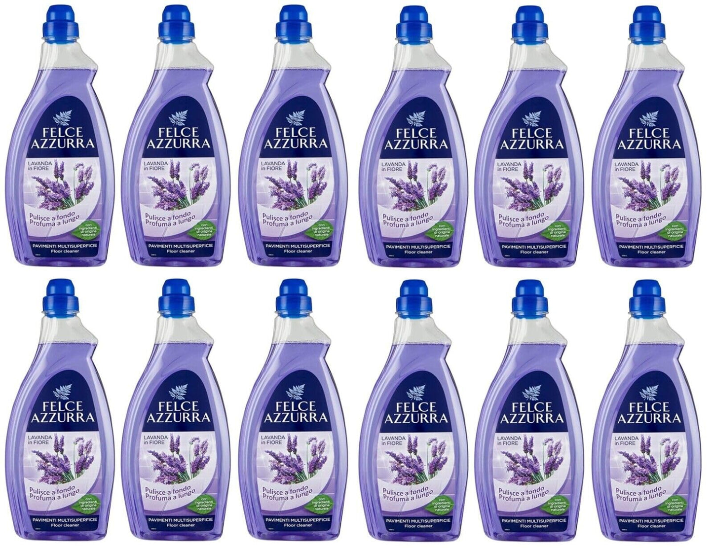 Confezione da 12 Paglieri Felce Azzurra Pavimenti Lavanda Detergente per pavimenti multipli 1 litro