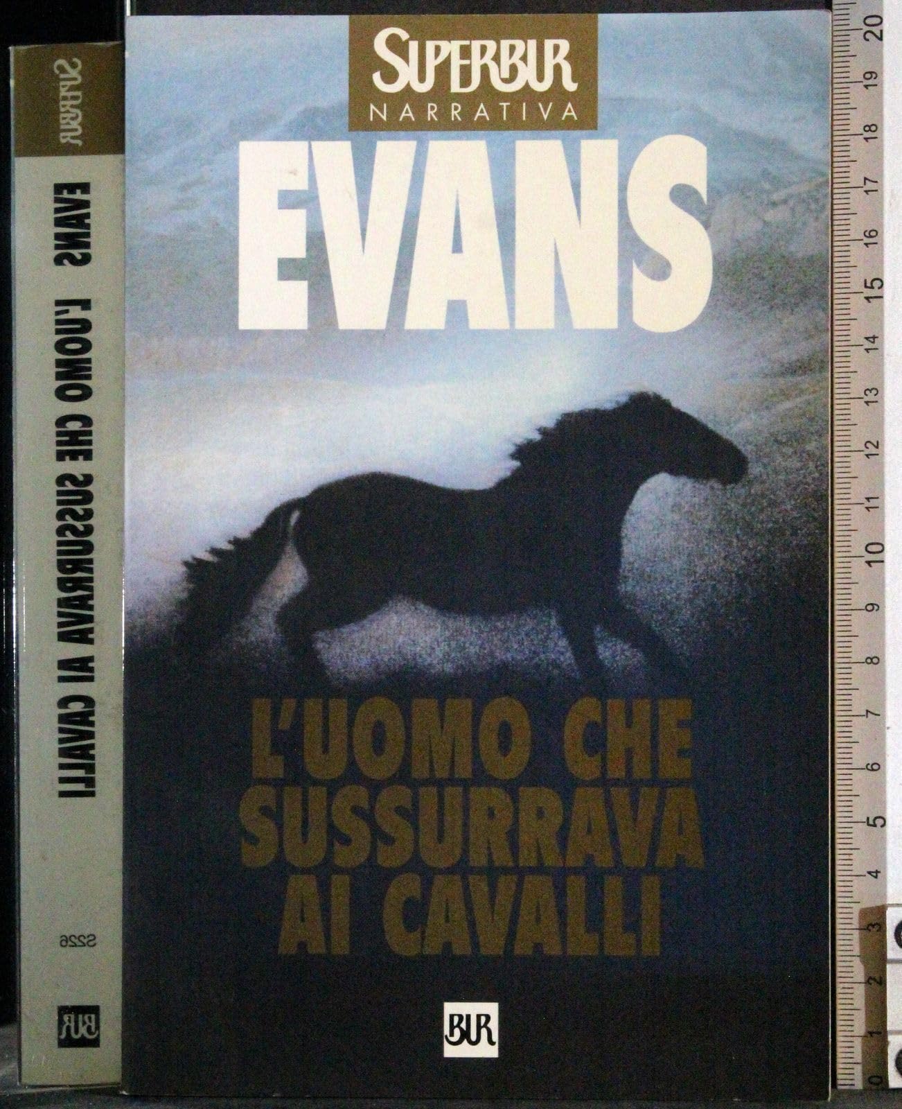 L'uomo che sussurrava ai cavalli