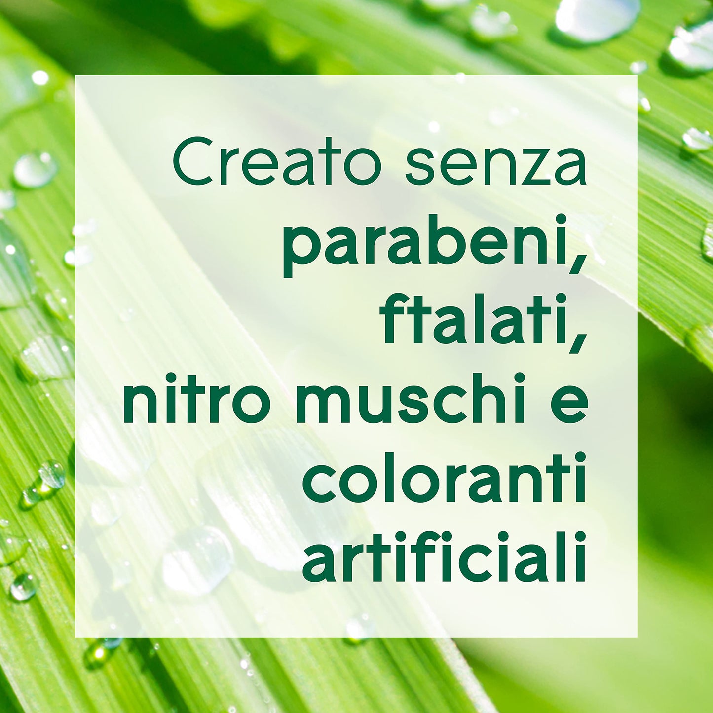 Glade Aromatherapy Diffusore di Oli Essenziali a Bastoncini, Fragranza Calm Mind Bergamotto e Citronella, 1 Confezione da 1 Diffusore da 80 ml