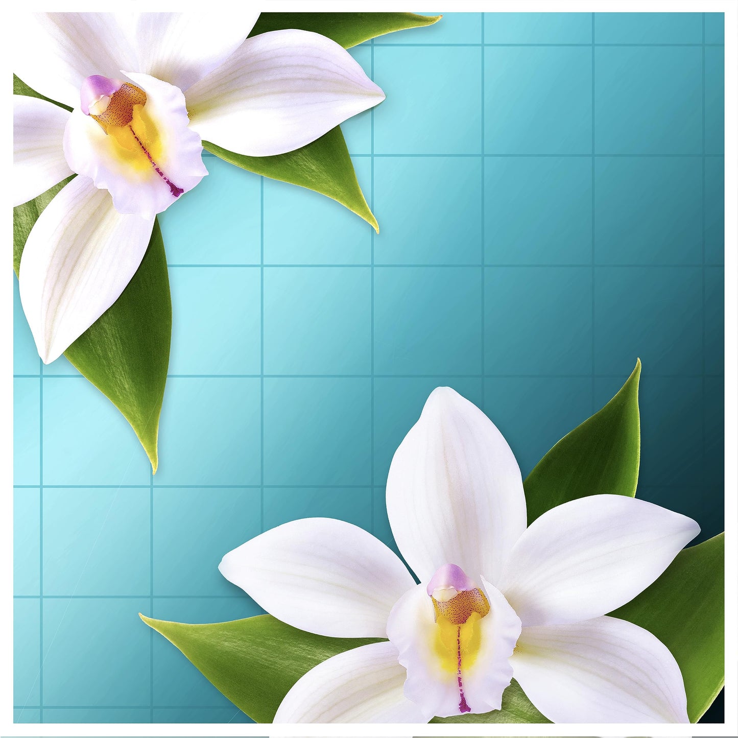 Viakal Doccia Express Pulito Scintillante In Una Passata Senza Risciacquo