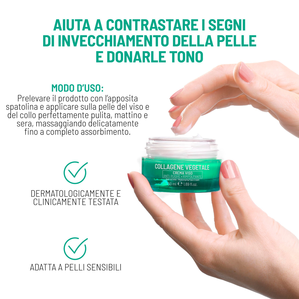 Equilibra, Collagene Vegetale Crema Viso Anti-rughe Rimpolpante, 50 ml , con Fitocollagene da Semi di Zucca e Collagen Amino Acids, Vitamina C, Pro-vitamina B5, Dermatologicamente Testato