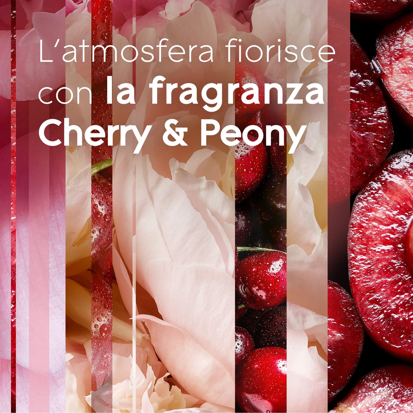 Glade Automatic Spray Ricarica, Profumatore per Ambienti, Fragranza Luscious Cherry & Peony, 1 Ricarica da 269 ml