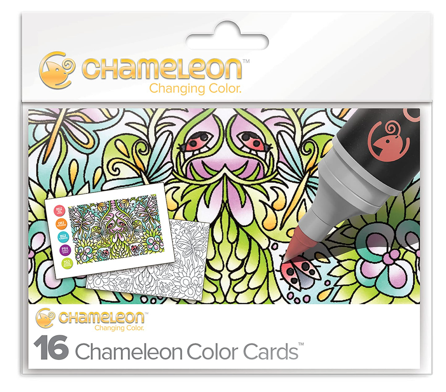 Camaleonte Colore Carte Arte Forniture - Immagini Specchio