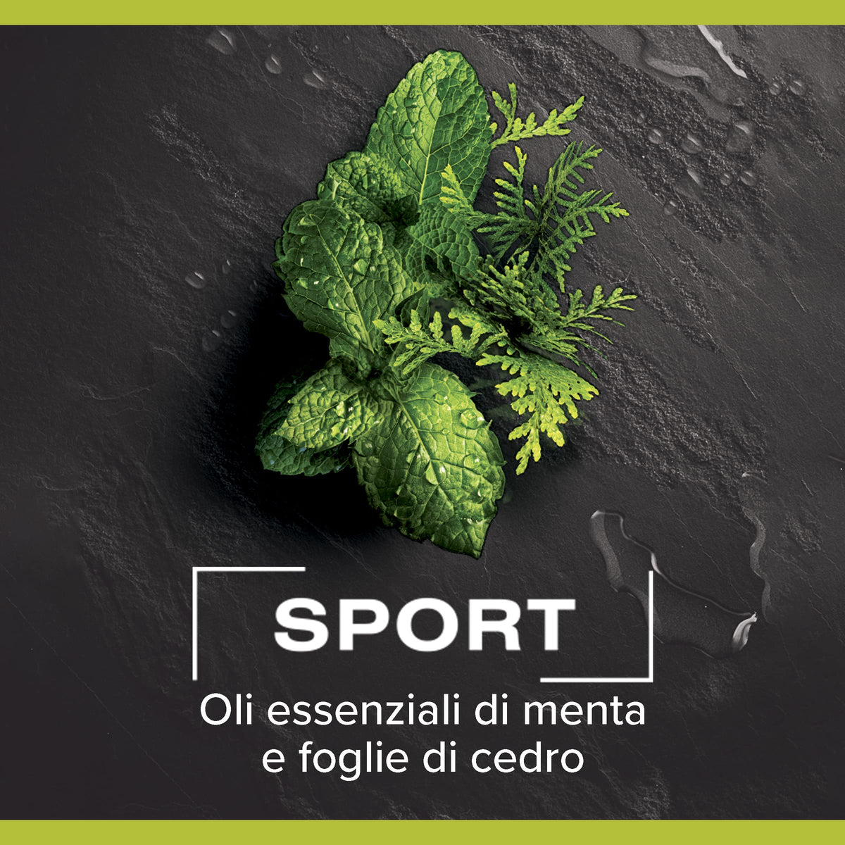 Palmolive Bagnoschiuma Men Sport 3 in 1 con oli essenziali 220ml x 6 | Docciaschiuma per uomo | Gel doccia sportivo | Profumo fresco | Detergente corpo, viso, capelli | Dermatologicamente testato