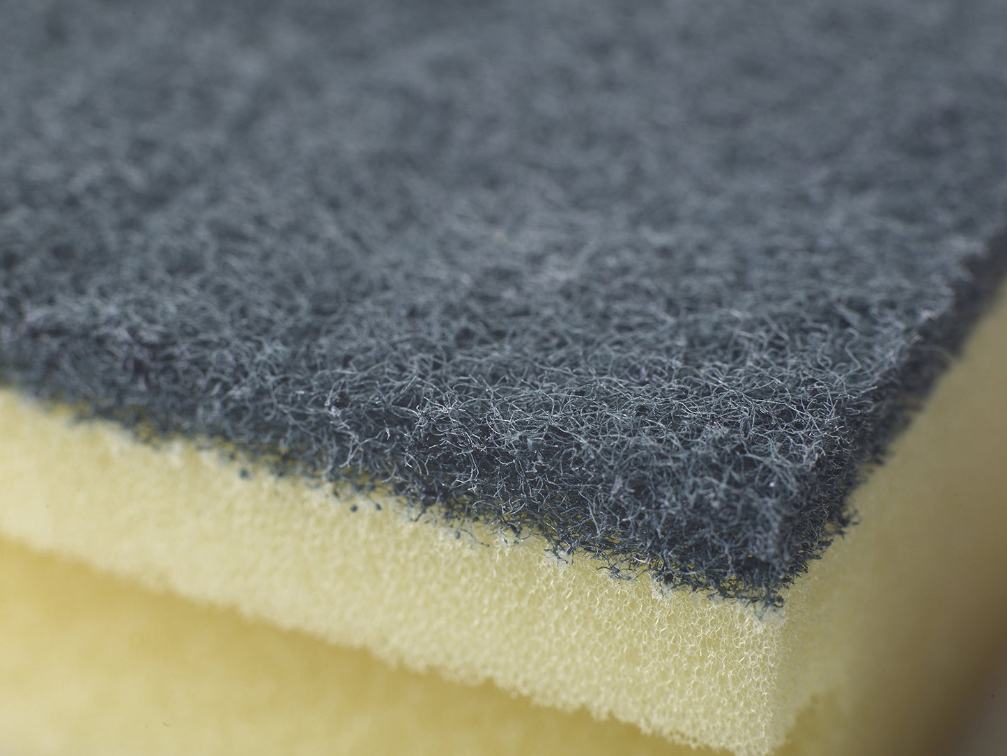 Spontex - Spugna multiuso per lavaggi, 2 pezzi