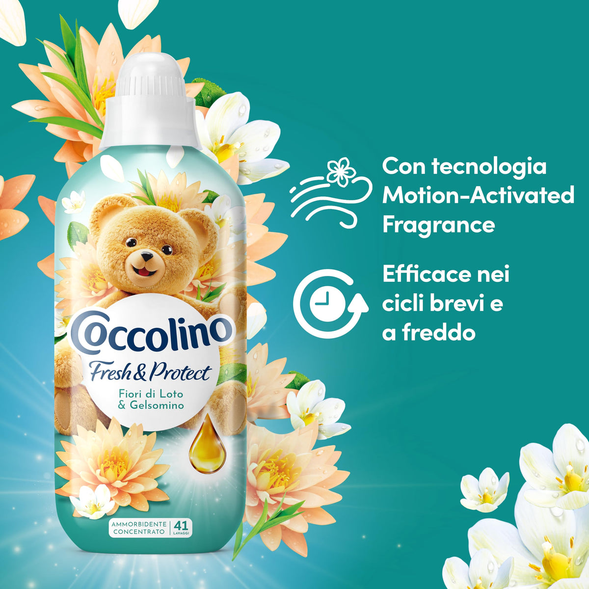 COCCOLINO CONCENTRATO
