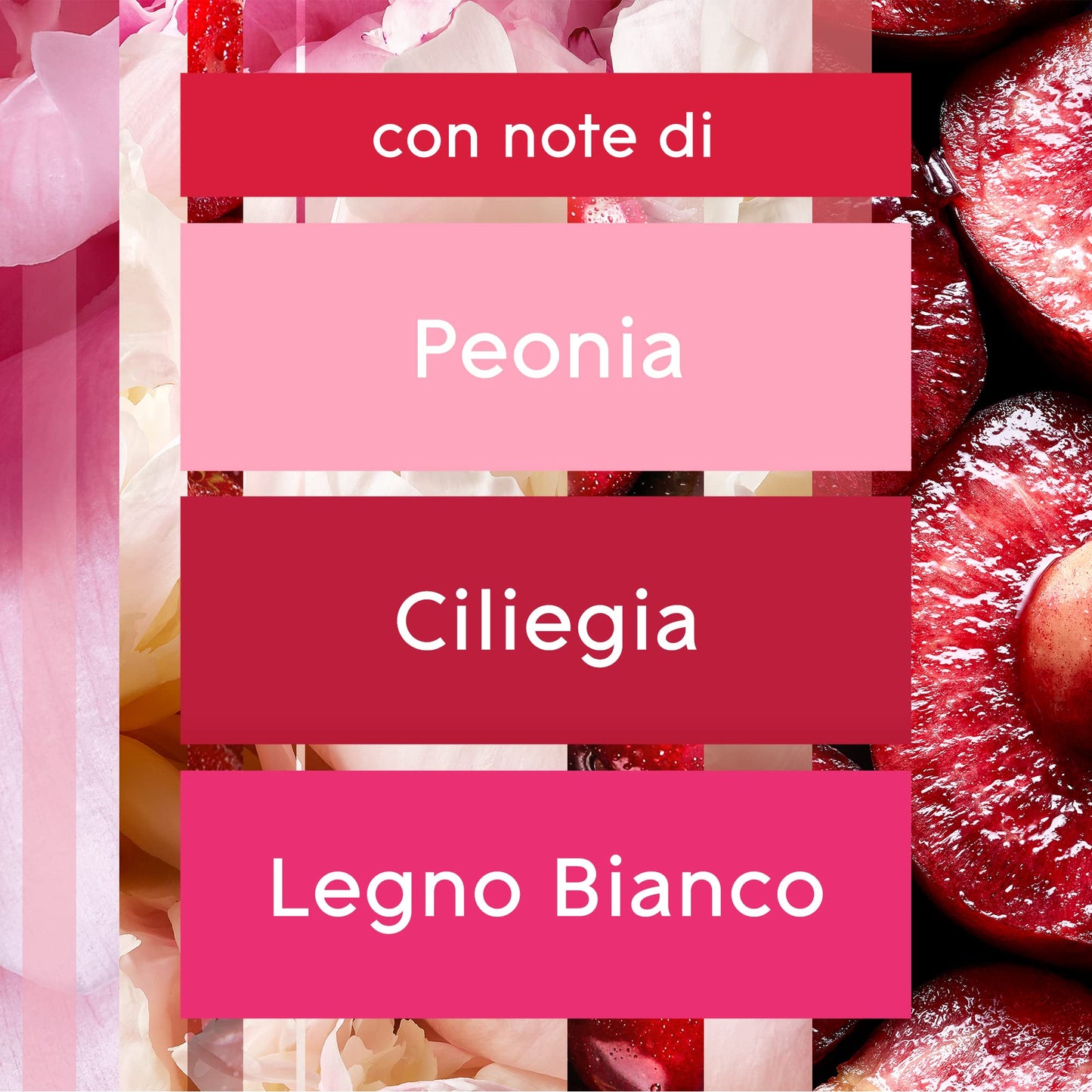 Glade Automatic Spray Ricarica, Profumatore per Ambienti, Fragranza Luscious Cherry & Peony, 1 Ricarica da 269 ml