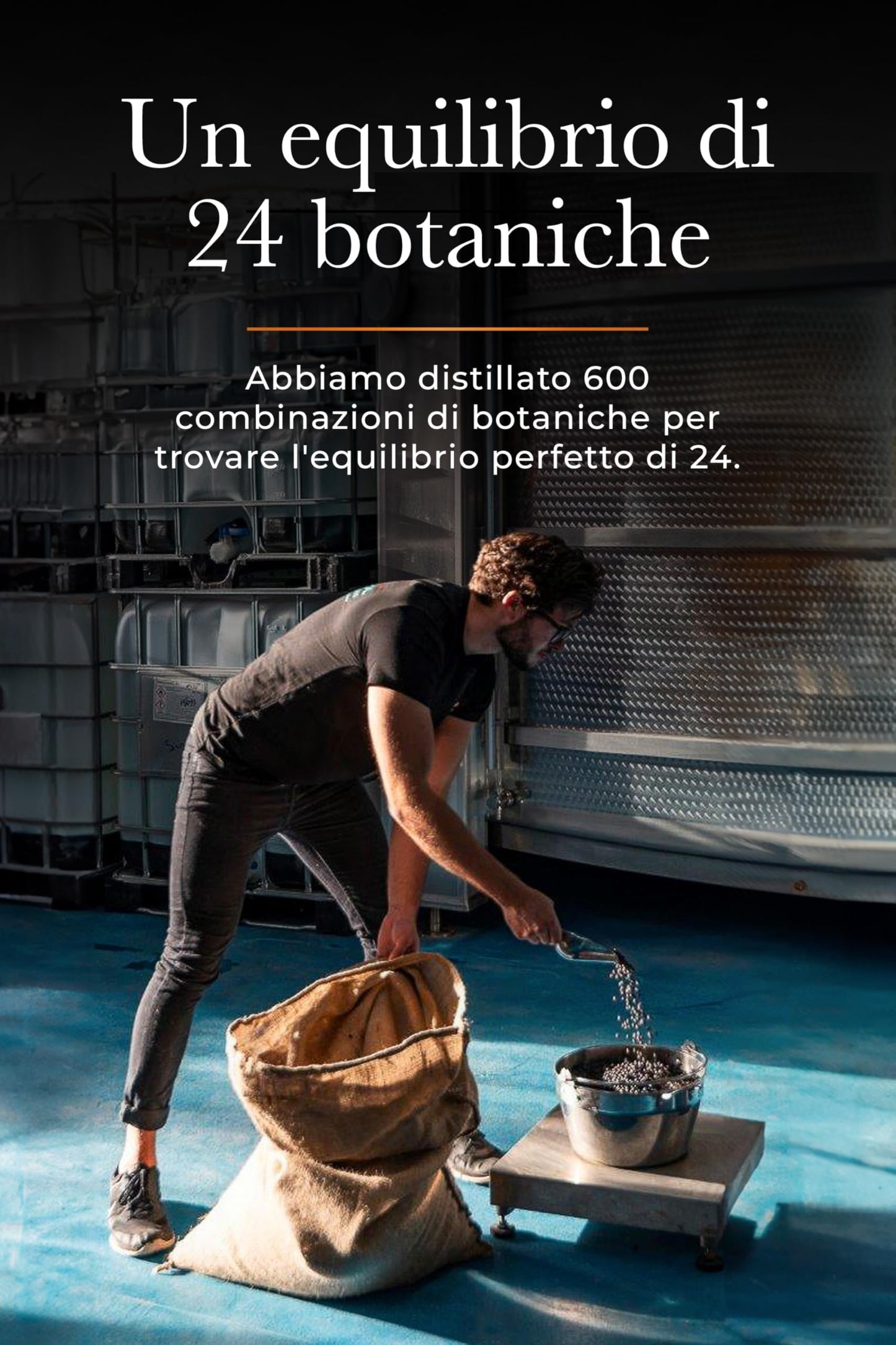 SILENT POOL Gin 70 cl