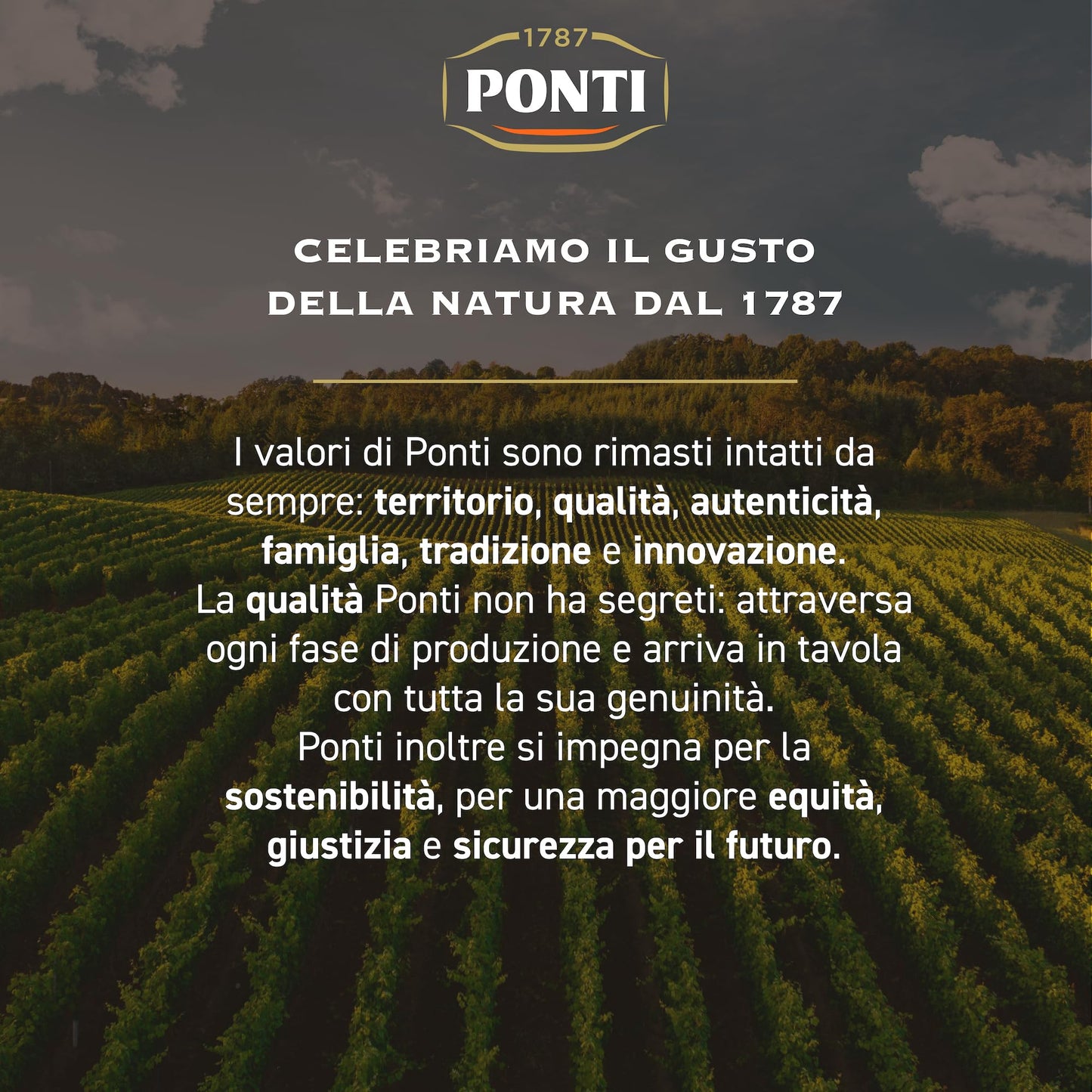 Ponti, Dolceagro Condimento Delicato, Gusto Amabile e Rotondo, Bassa Acidità, Dona un Tocco di Delicatezza alle Insalate, alle Verdure, Carni e Pesce, 100% Made in Italy, 6 Bottiglie da 500 ml