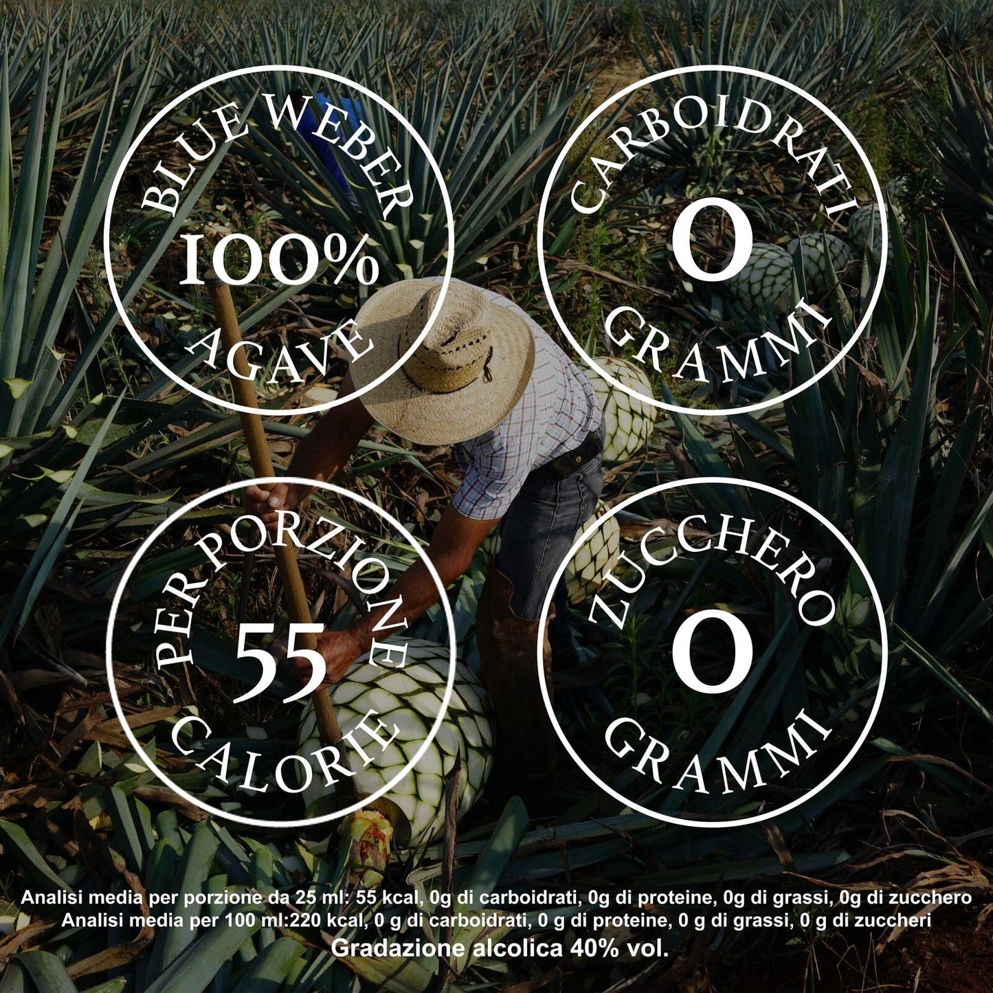 CAZADORES Tequila Blanco, 40% ABV, 70cl / 700ml, Alcool Bidistillato Prodotto con 100% Agave Blu Weber