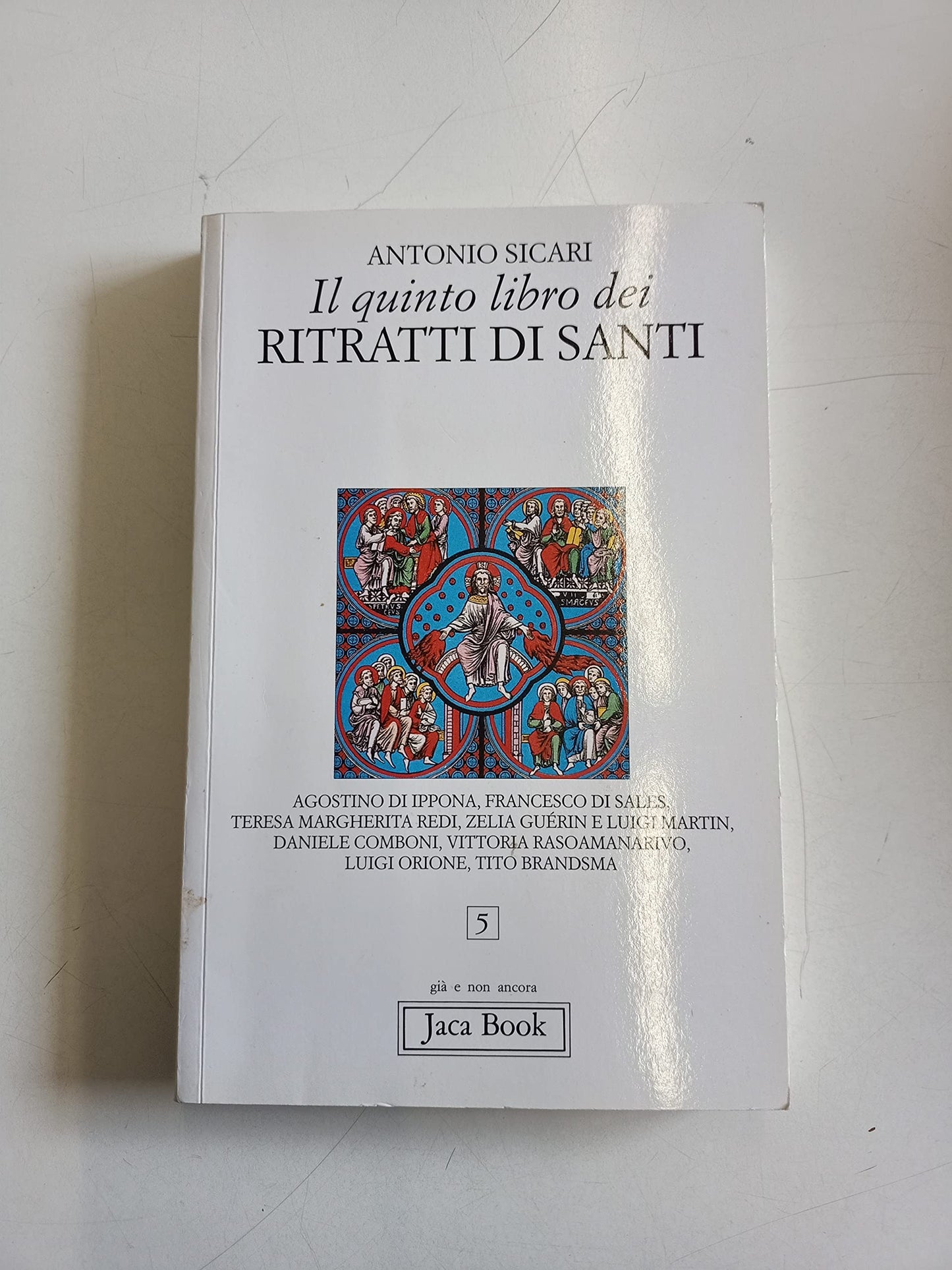 Il quinto libro dei ritratti di santi. Agostino di Ippona, Francesco di Sales, Teresa Margherita Redi, Zelia Guérin e Luigi Martin, Daniele Comboni...