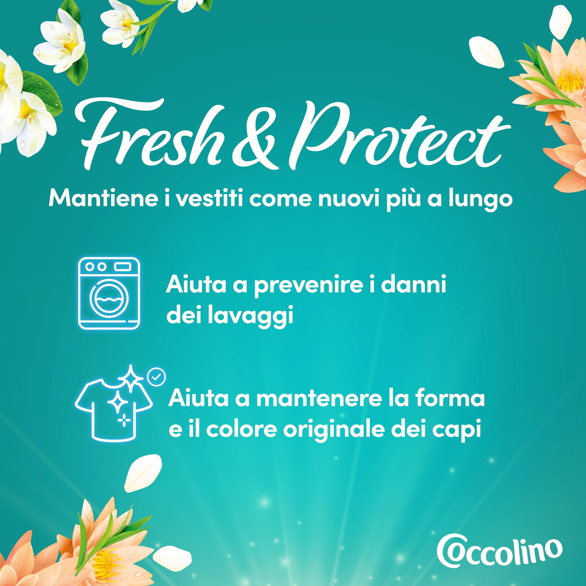COCCOLINO CONCENTRATO