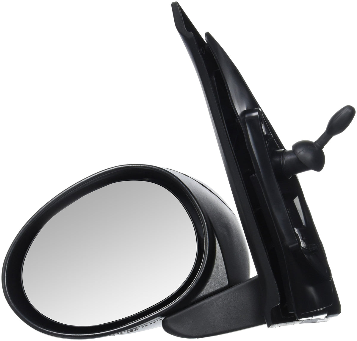 FBA!VERARICAM801881