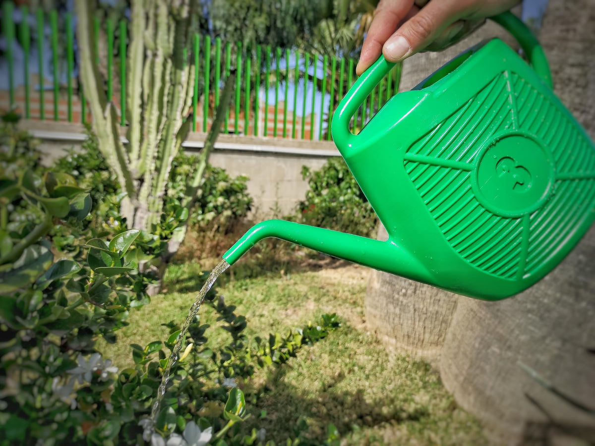 Ecoplast | Annaffiatoio da 3 Litri, Ideale per il Giardinaggio, Piante e Fiori, Comodo da Usare, Resistente, Duraturo e Indeformabile, con Doccetta Inclusa