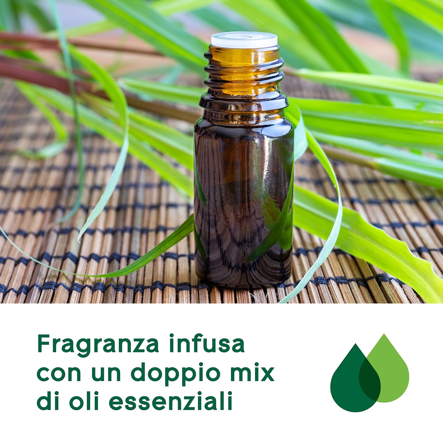 Glade Aromatherapy Diffusore di Oli Essenziali a Bastoncini, Fragranza Calm Mind Bergamotto e Citronella, 1 Confezione da 1 Diffusore da 80 ml